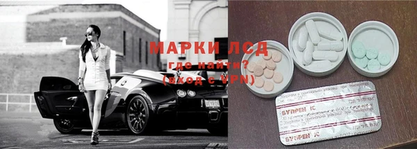 твердый Магас