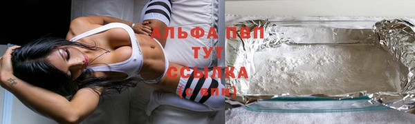 молекула духа Магадан